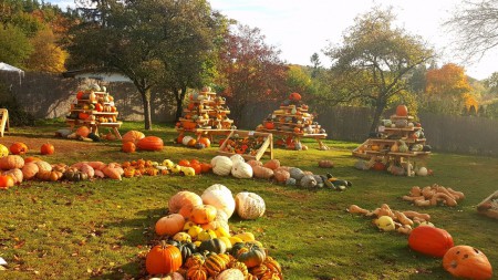 botanicka-zahrada-hl-m-prahy-troja-fata-morgana